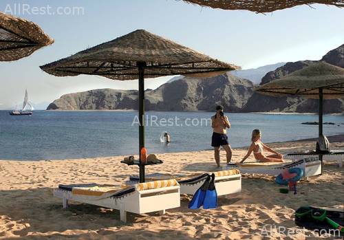 Sol Y Mar Sea Star 8